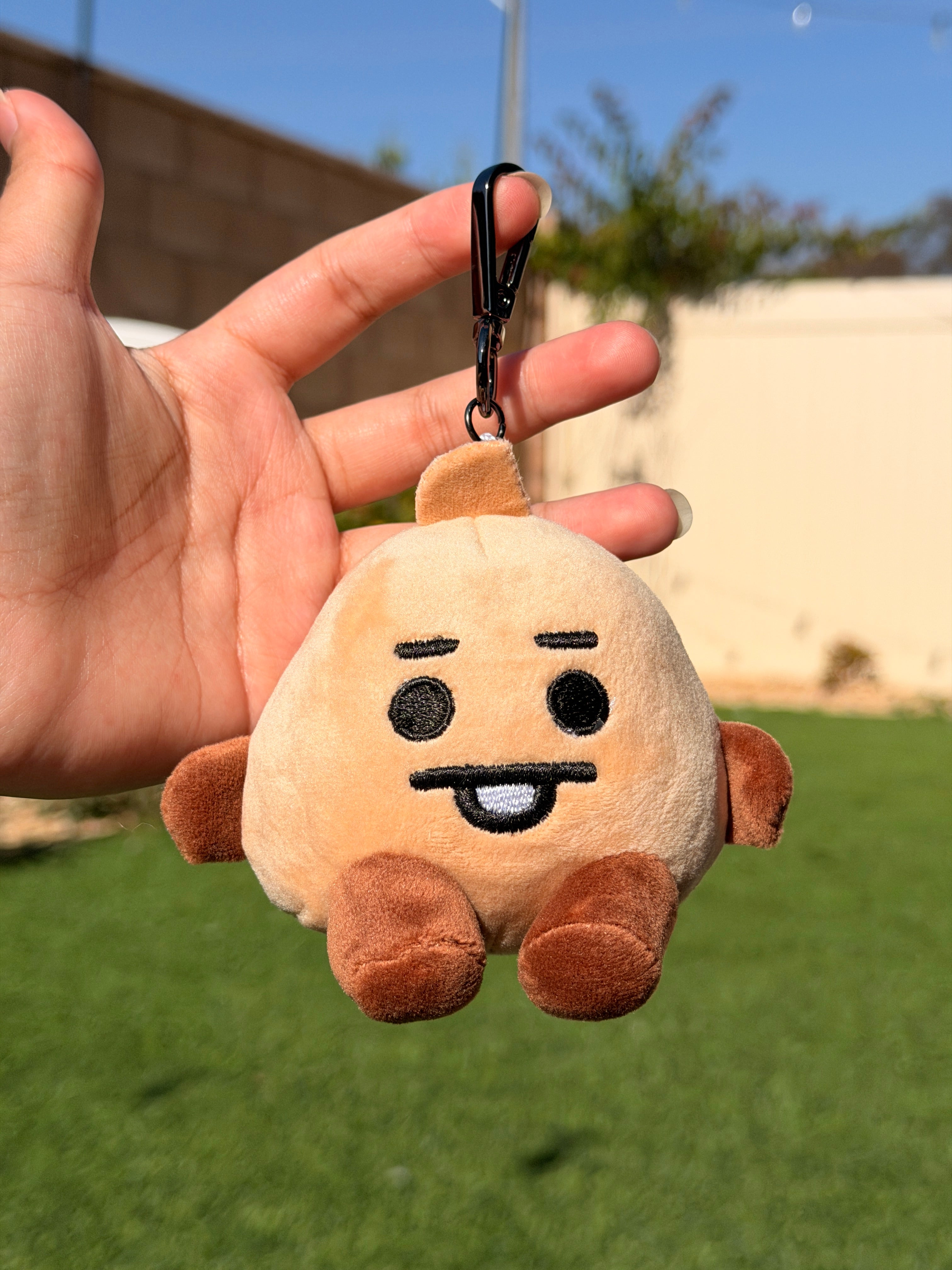 BTS Plush Keychain