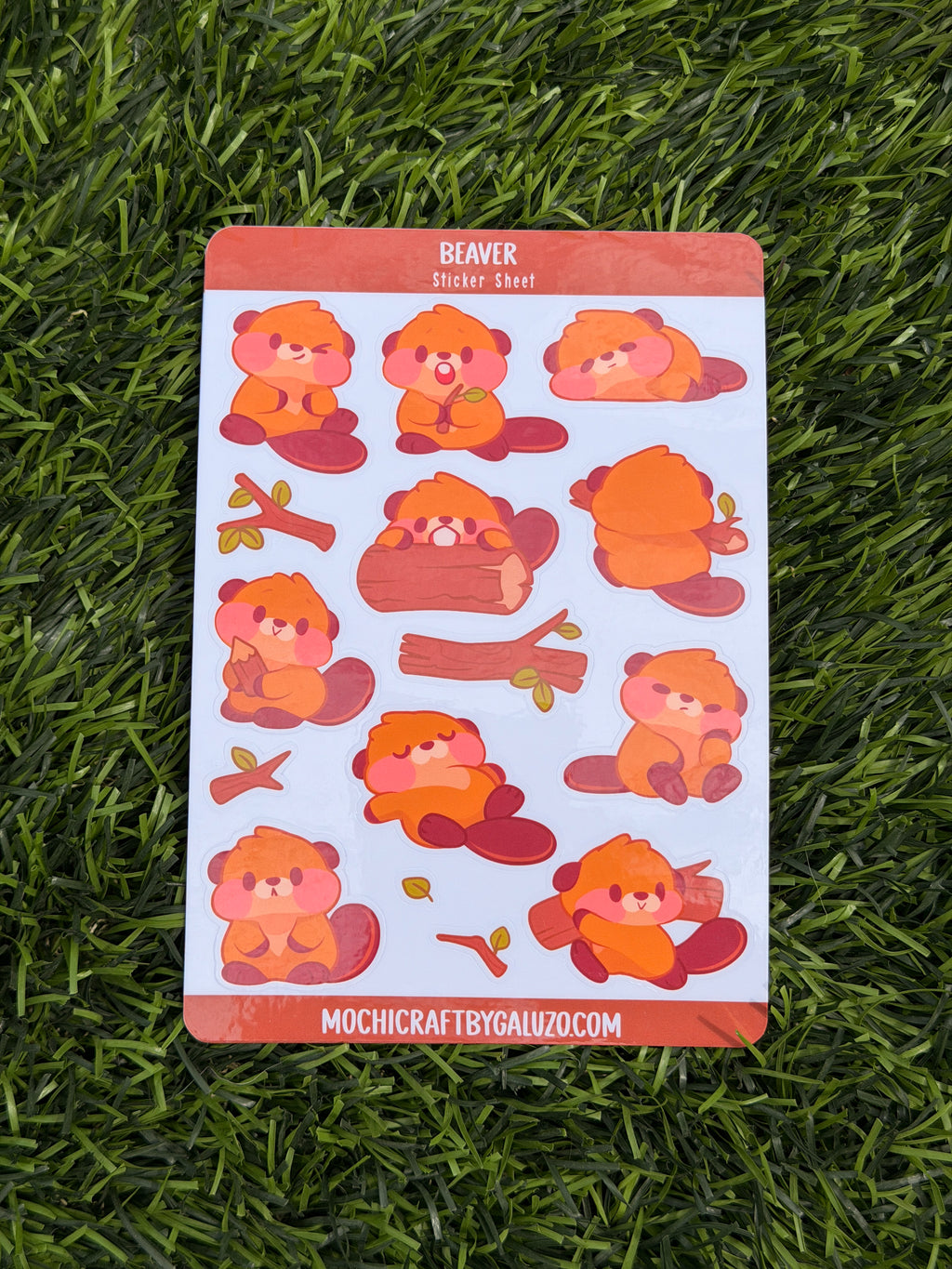 Beaver | Scrapbooking | Sticker Sheet | Kiss Cut
