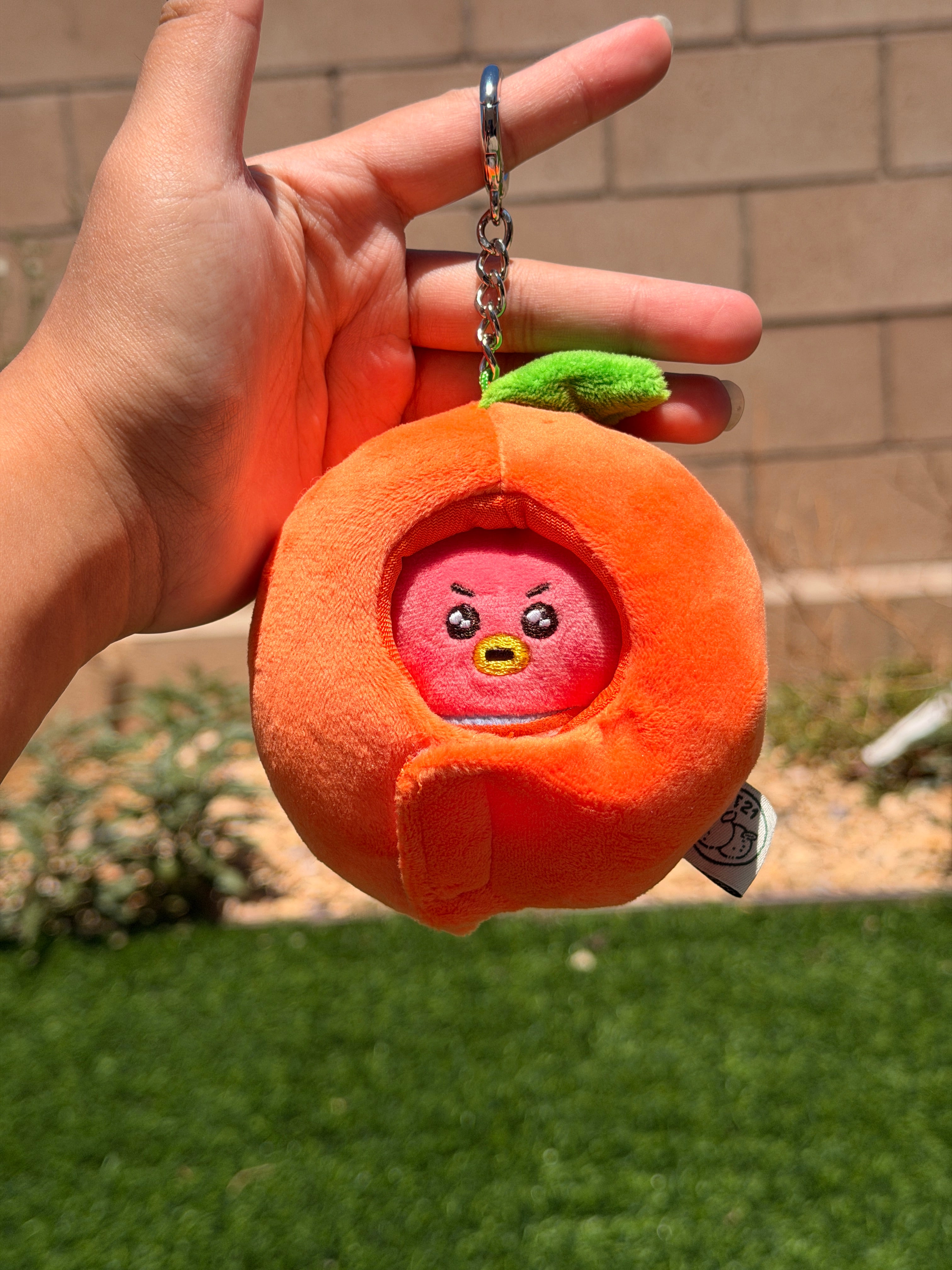KPOP Plush Keychain | Orange Collection Series 1 | Cute Kawaii Character Keyring, Soft Mini Plush Charm, BTS Inspired Gift