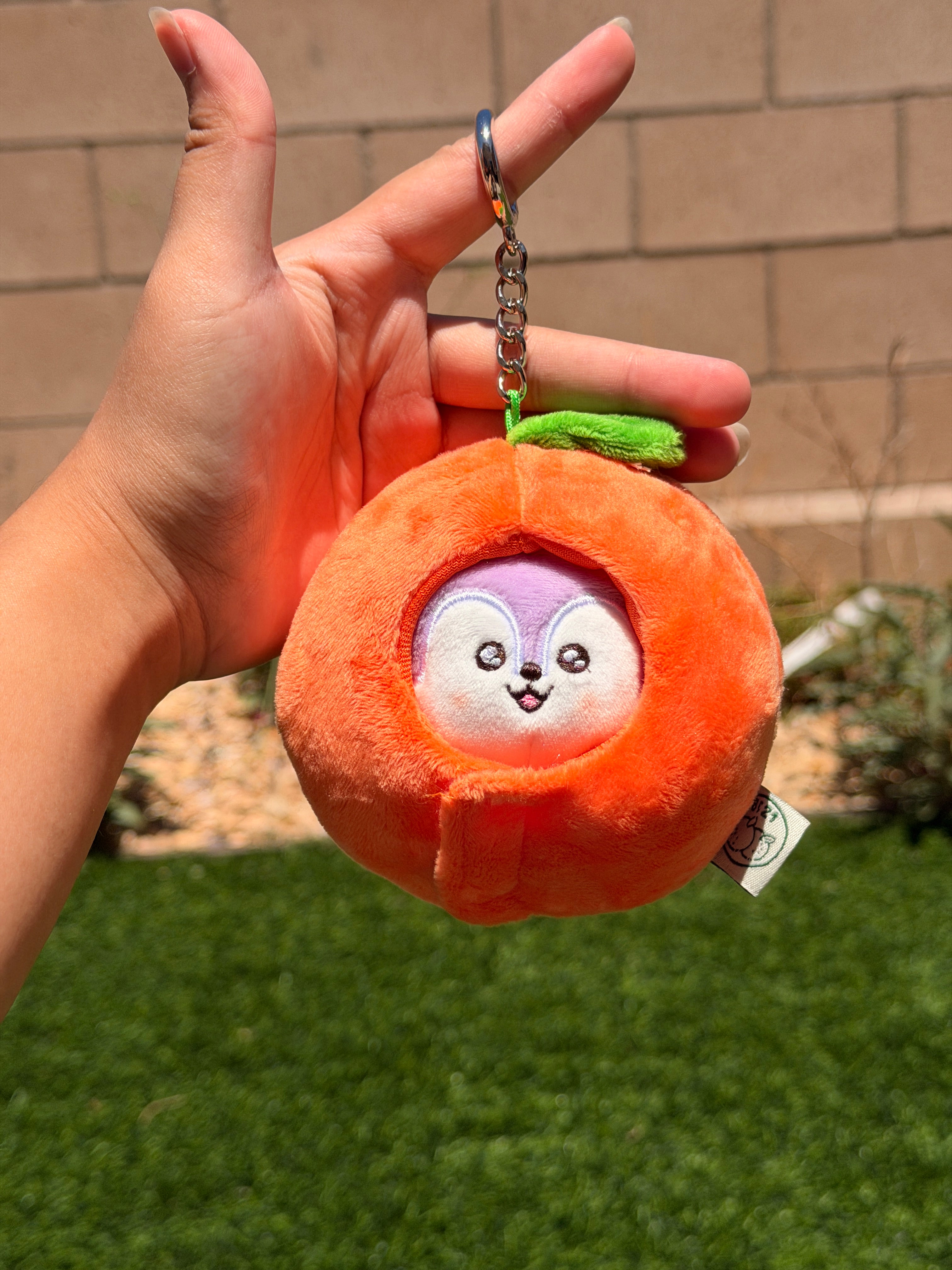 KPOP Plush Keychain | Orange Collection Series 1 | Cute Kawaii Character Keyring, Soft Mini Plush Charm, BTS Inspired Gift
