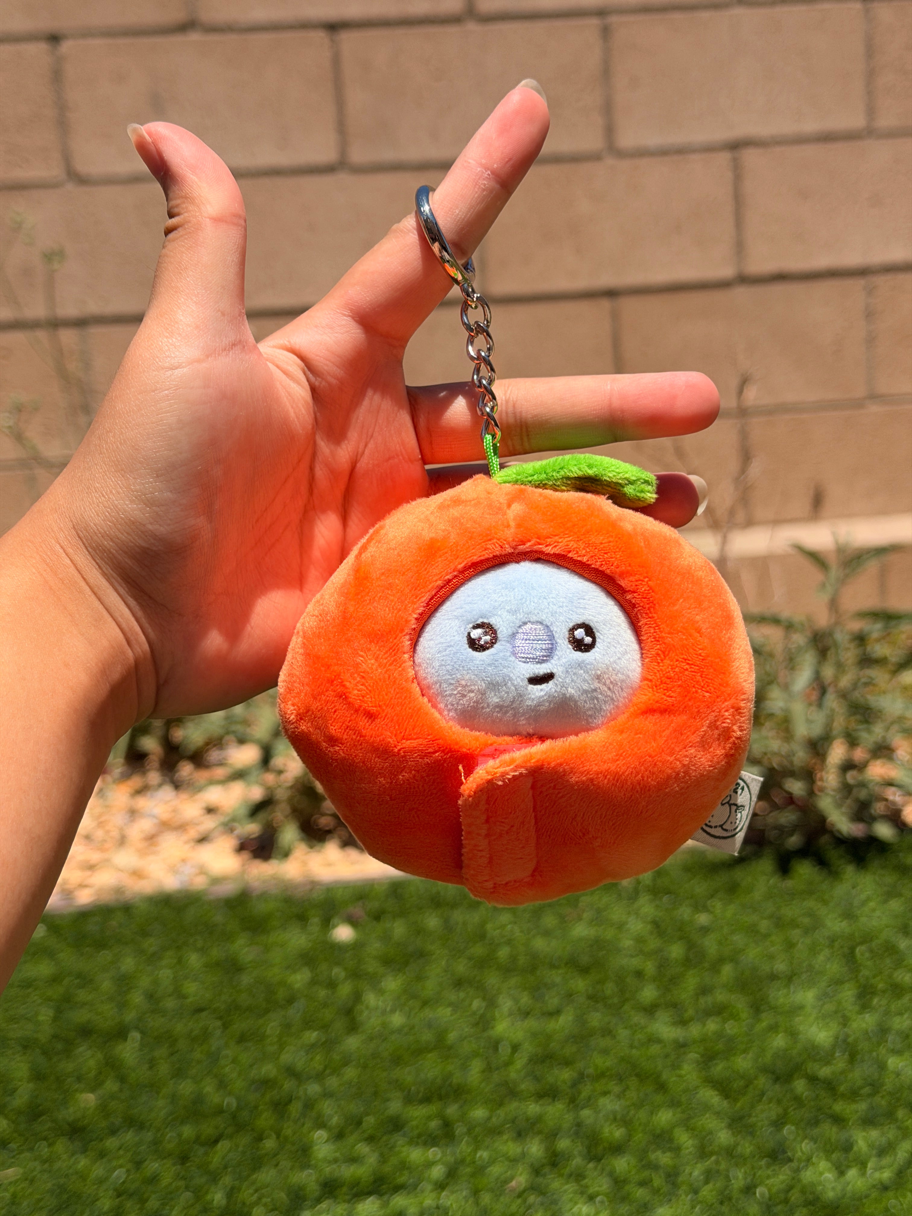 KPOP Plush Keychain | Orange Collection Series 1 | Cute Kawaii Character Keyring, Soft Mini Plush Charm, BTS Inspired Gift
