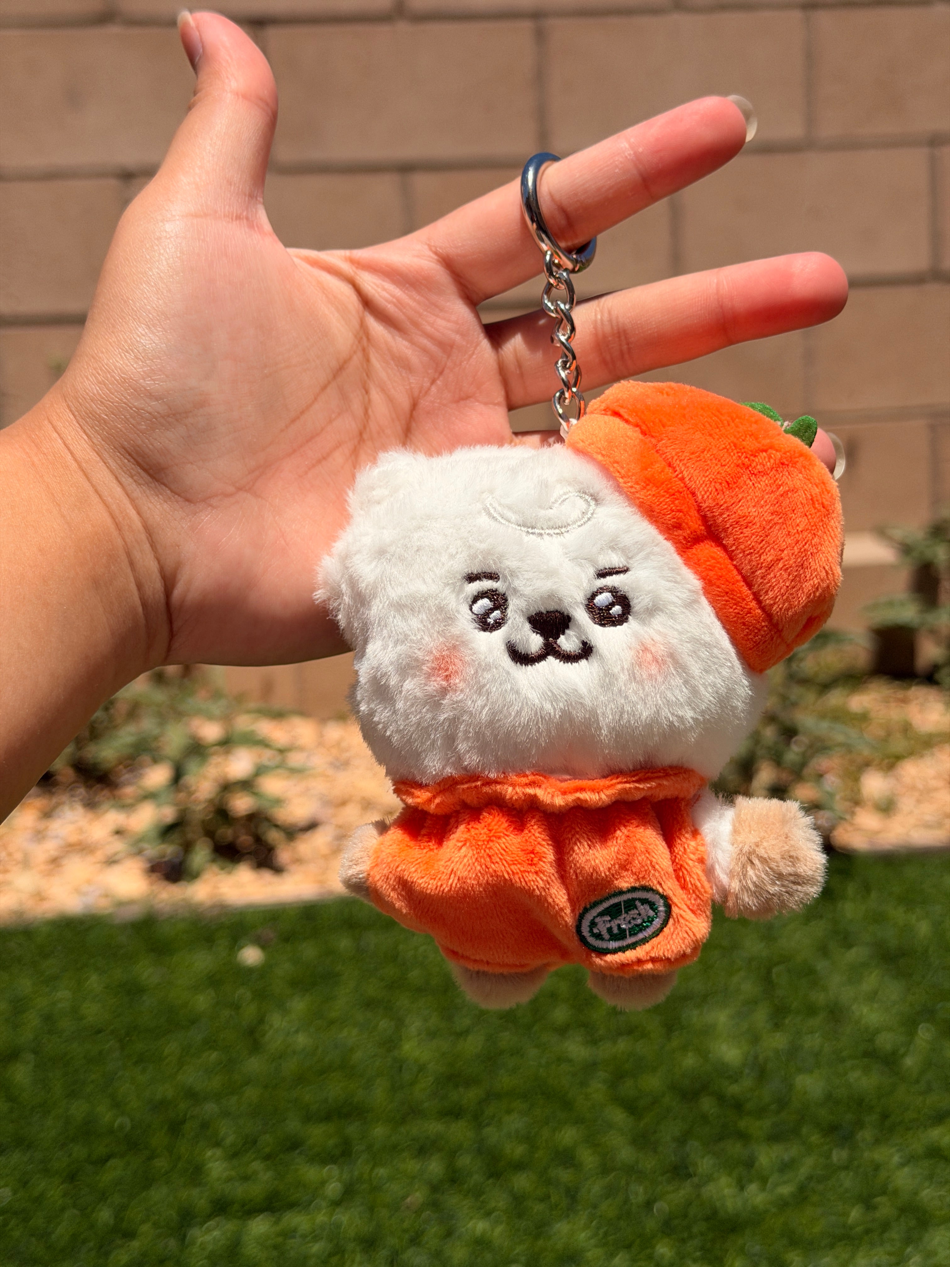 KPOP Plush Keychain | Orange Collection Series 2 | Cute Kawaii Character Keyring, Soft Mini Plush Charm, BTS Inspired Gift