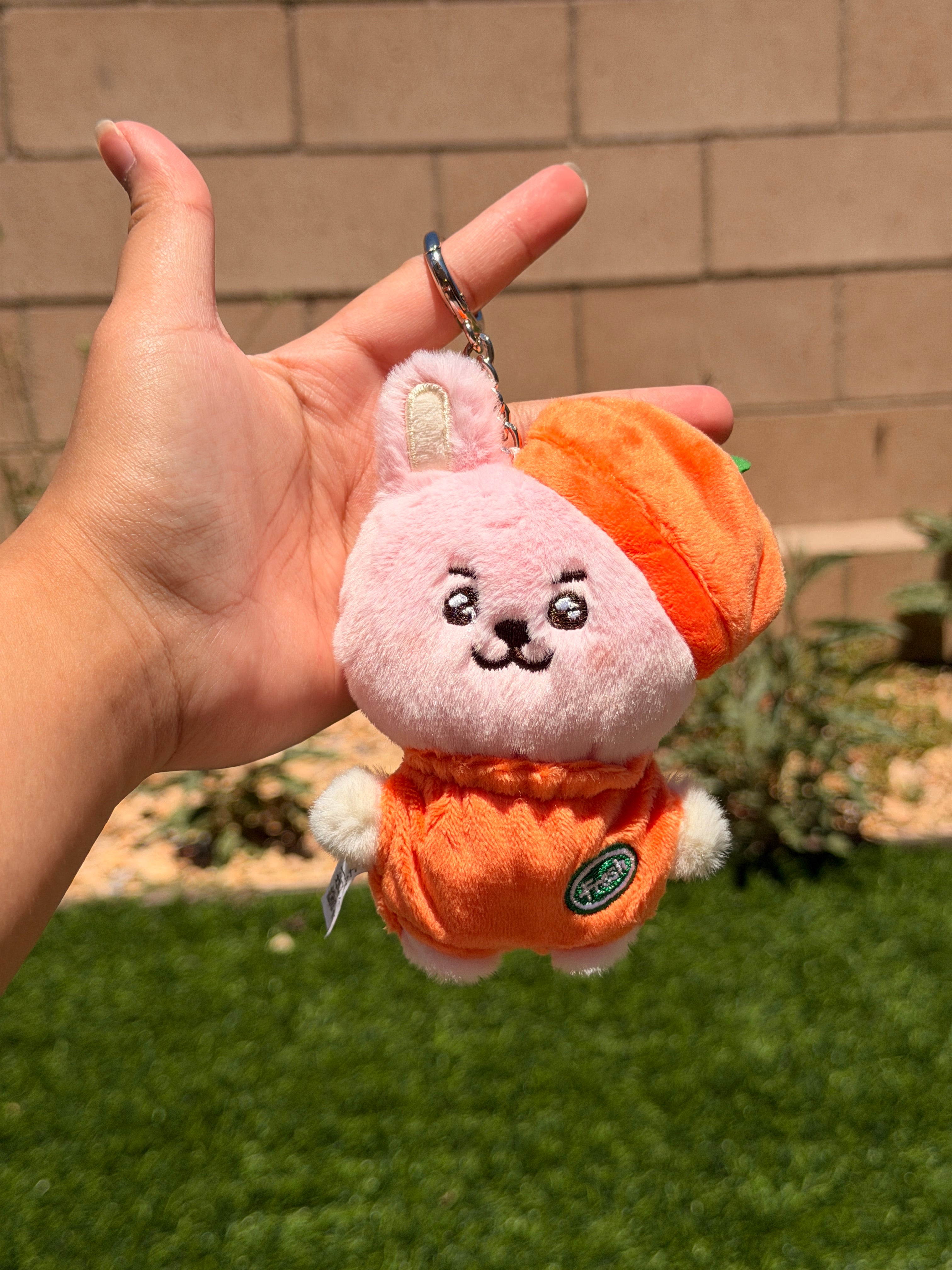 KPOP Plush Keychain | Orange Collection Series 2 | Cute Kawaii Character Keyring, Soft Mini Plush Charm, BTS Inspired Gift