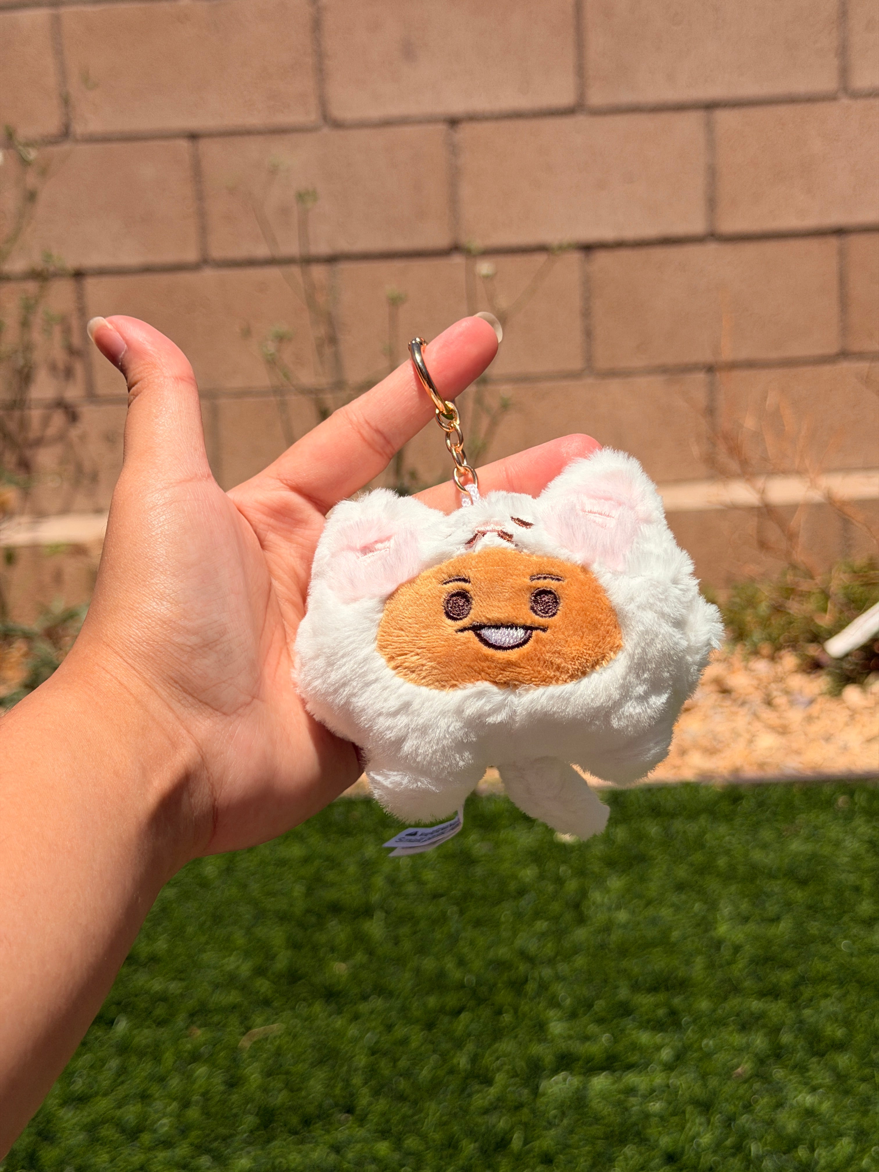 KPOP Plush Keychain | Fluffy Collection | Cute Kawaii Character Keyring, Soft Mini Plush Charm, BTS Inspired Gift