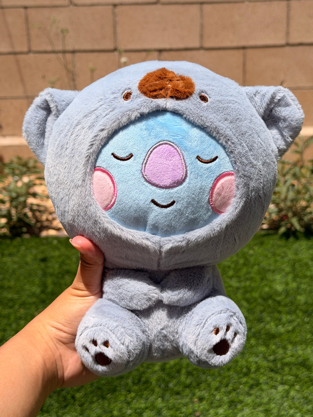 KPOP Plush Doll | Soft Kawaii Character Plush | Stuffed Animal
