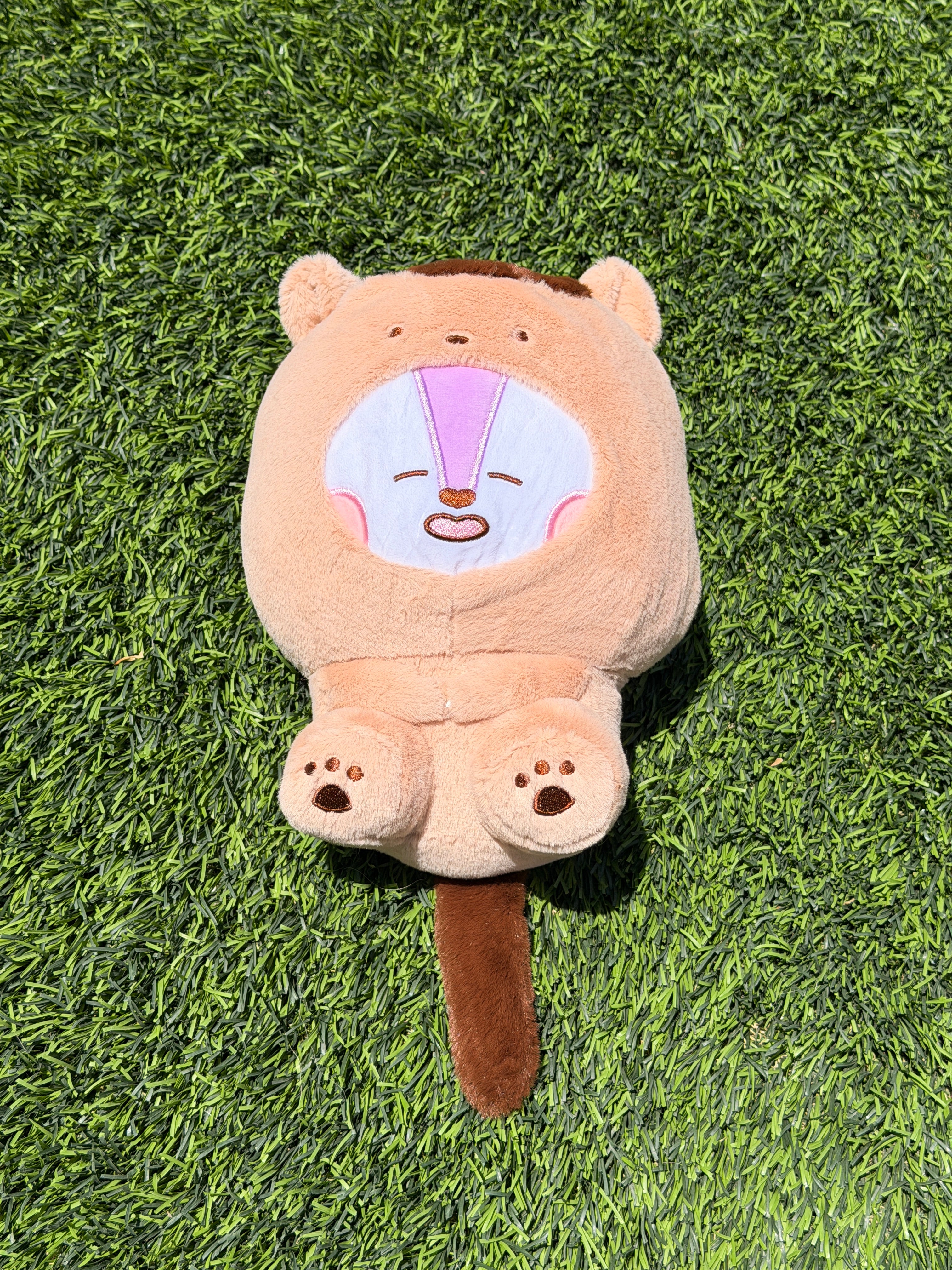 KPOP Plush Doll | Soft Kawaii Character Plush | Stuffed Animal