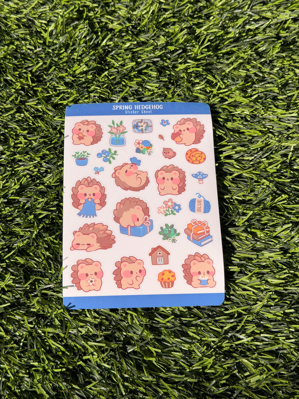 Spring Hedgehog | Scrapbooking | Sticker Sheet | Kiss Cut