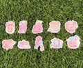 Kawaii Pink Sticker Collection | Die Cut Sticker