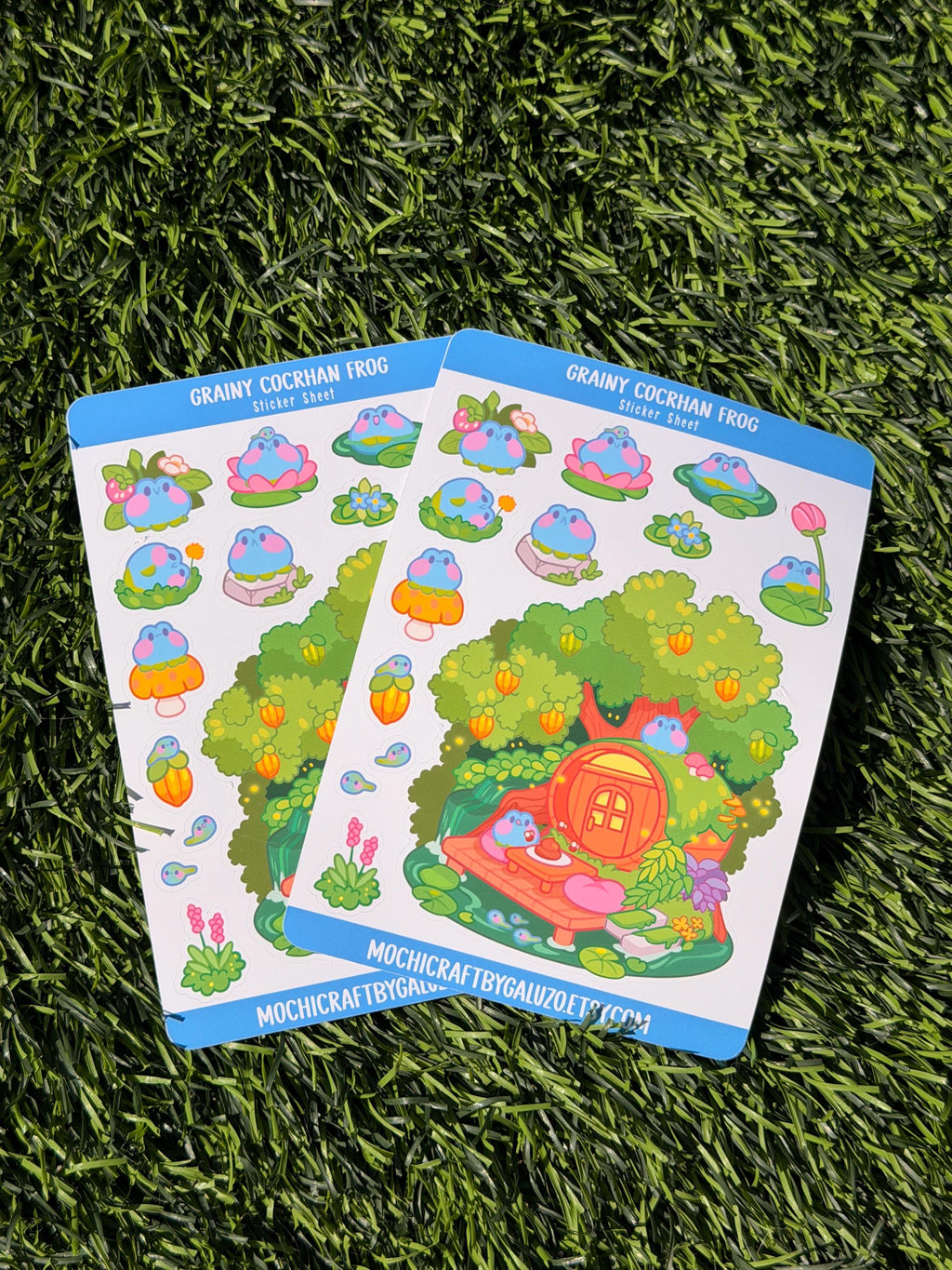 Grainy Cocrhan Frog | Scrapbooking | Sticker Sheet | Kiss Cut