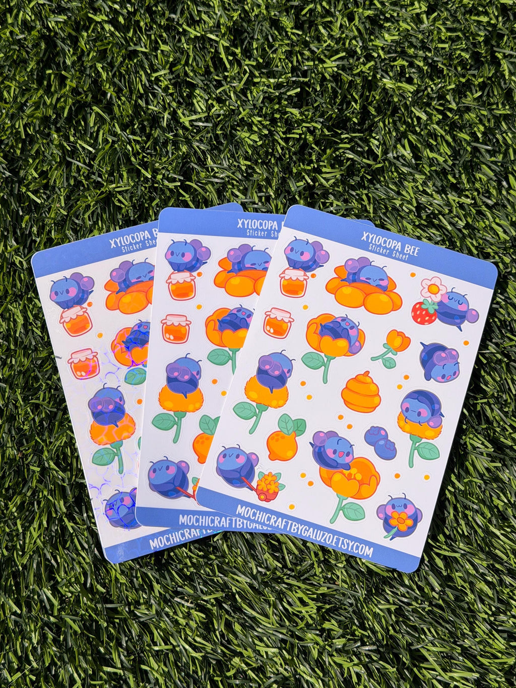 Xylocopa Bee | Scrapbooking | Sticker Sheet | Kiss Cut