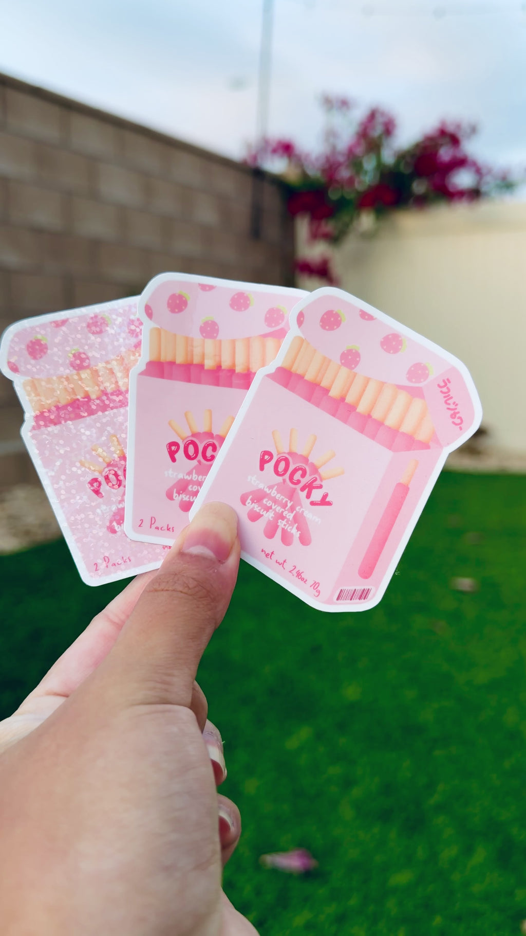 Pocky Snacks | Die Cut Stickers